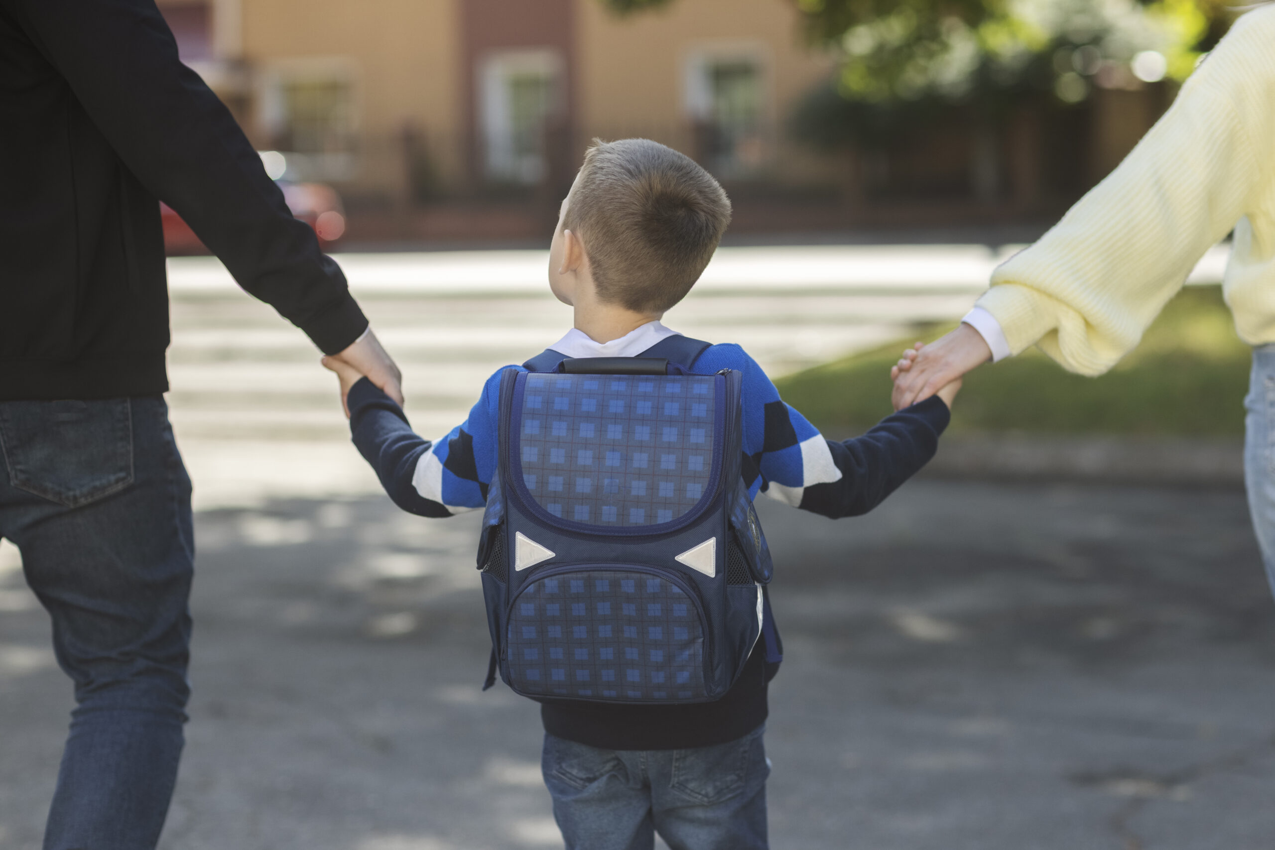 Supporting Bilingualism and Special Needs Education: Strategies for Language Development